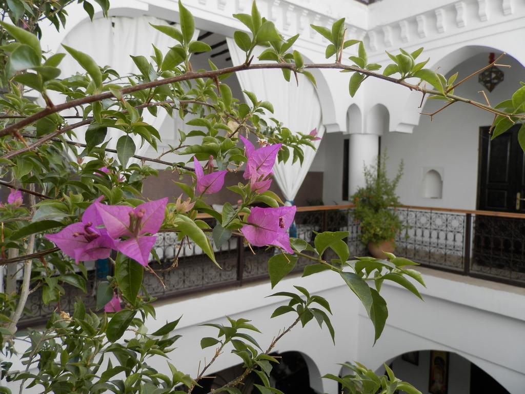 Riad Ailen Μαρακές Εξωτερικό φωτογραφία